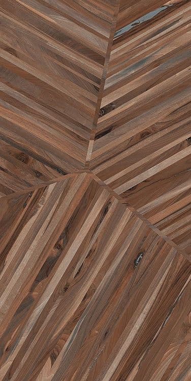 KAURI