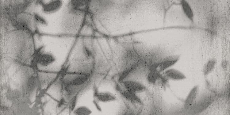 ART WALLS