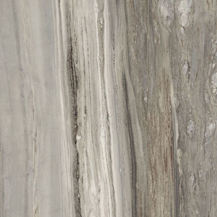 ETOILE de REX