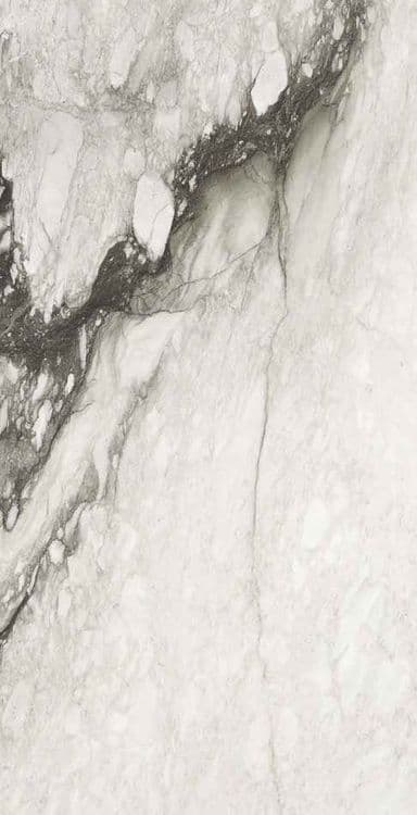 ETOILE de REX