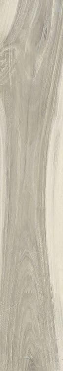 KAURI
