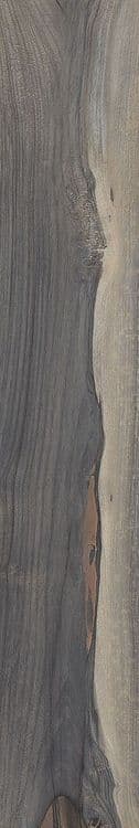 KAURI