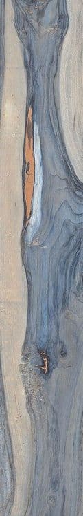 KAURI