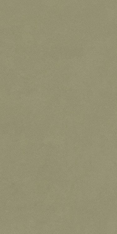 RETINA
