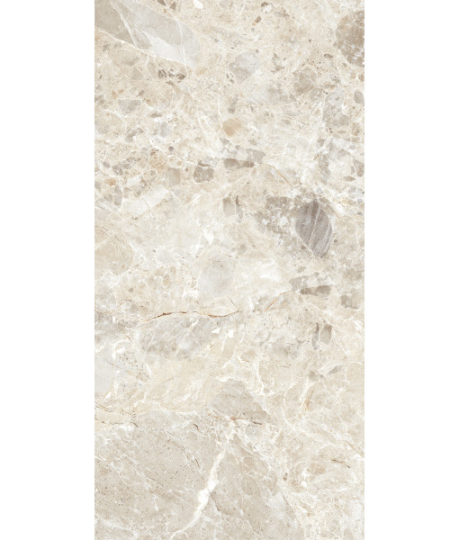 Керамогранит BRECCIA PARADISO IVORY LEVIGATO 60x120