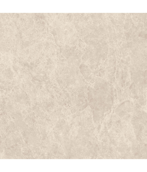 Керамический гранит  ERA DELIC. BEIGE NAT R120X120