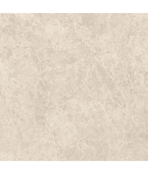 Керамический гранит  ERA DELIC. BEIGE NAT R120X120