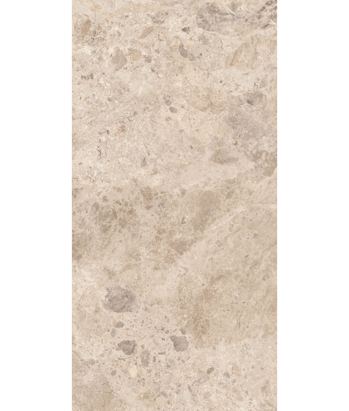 Керамогранит ERA BLOOM. TAUPE LAP R60X120