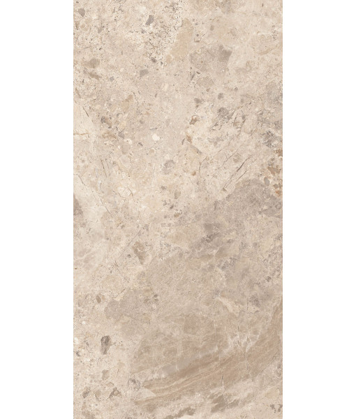 Керамогранит ERA BLOOM. TAUPE LAP R60X120