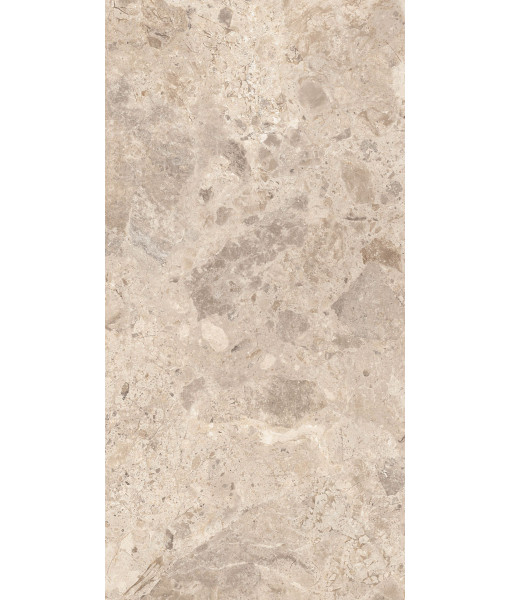 Керамогранит ERA BLOOM. TAUPE LAP R60X120