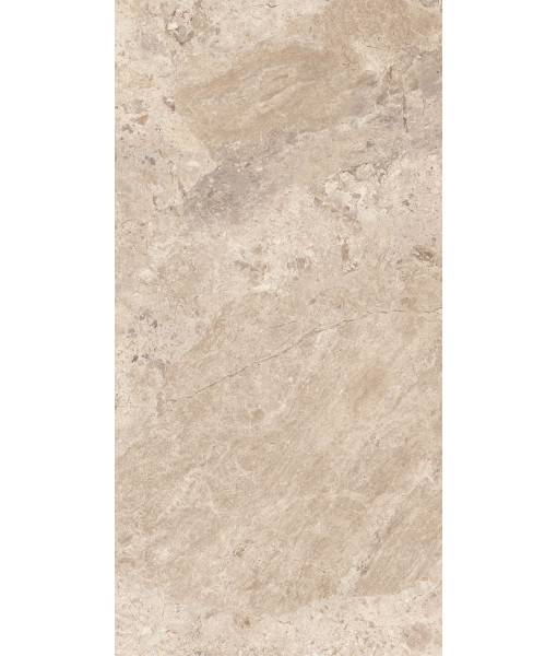 Керамогранит ERA BLOOM. TAUPE LAP R60X120