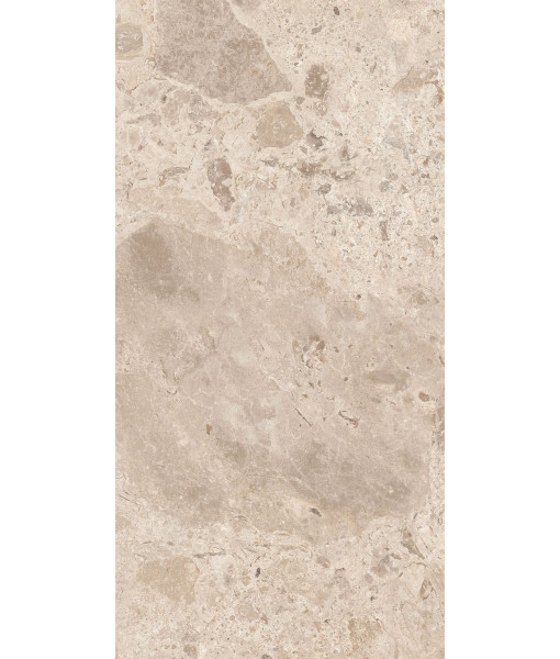 Керамогранит ERA BLOOM. TAUPE LAP R60X120
