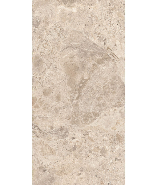 Керамогранит ERA BLOOM. TAUPE LAP R60X120