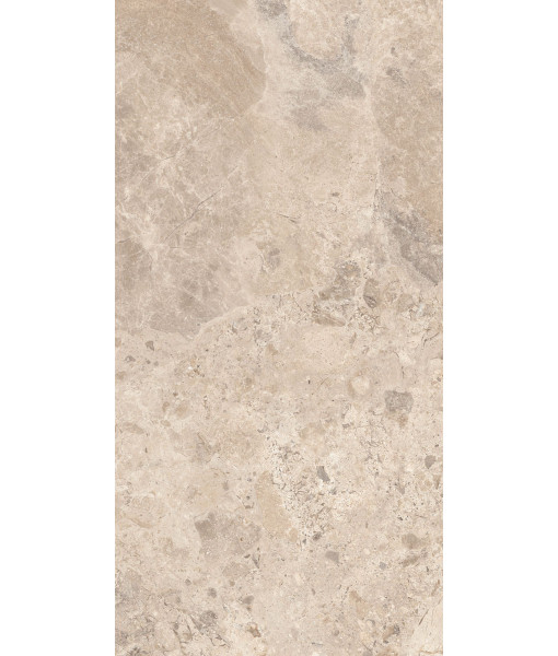 Керамогранит ERA BLOOM. TAUPE LAP R60X120
