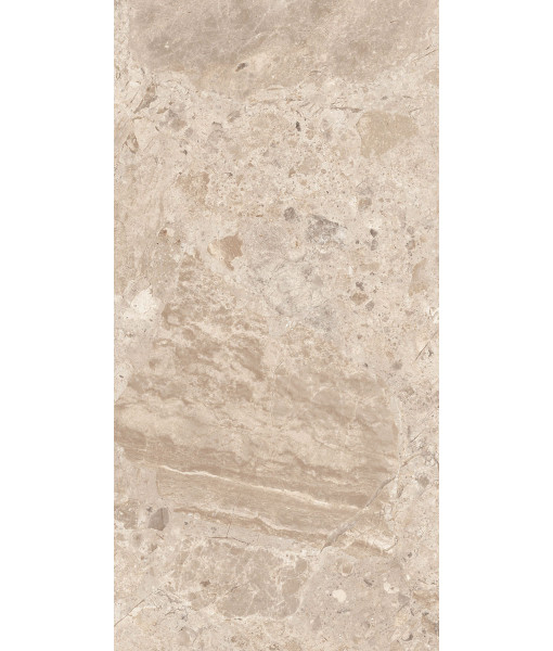 Керамогранит ERA BLOOM. TAUPE LAP R60X120