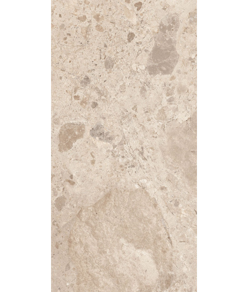 Керамогранит ERA BLOOM. TAUPE LAP R60X120