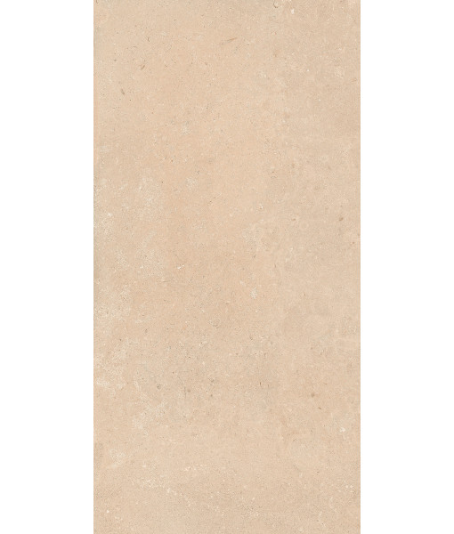 Керамогранит AUTHENTIC DORDOGNE CANNETE 60x120 RET