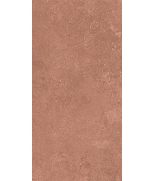 Керамогранит MIDI NATUR.TERRE NAT R60X120
