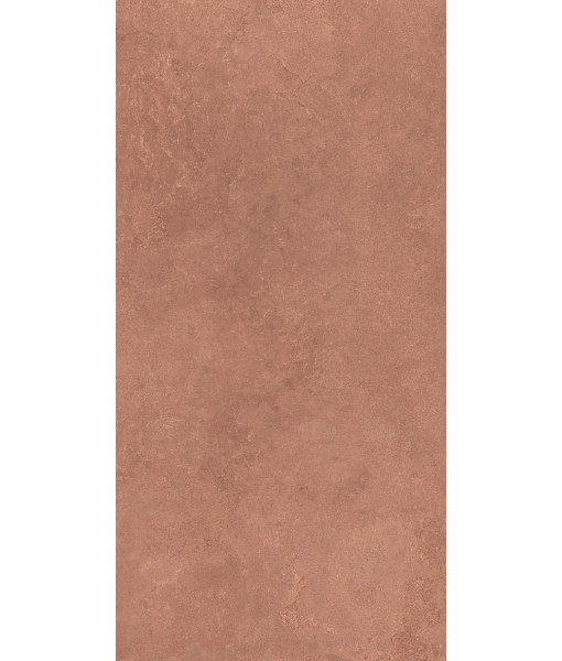 Керамогранит MIDI NATUR.TERRE NAT R60X120
