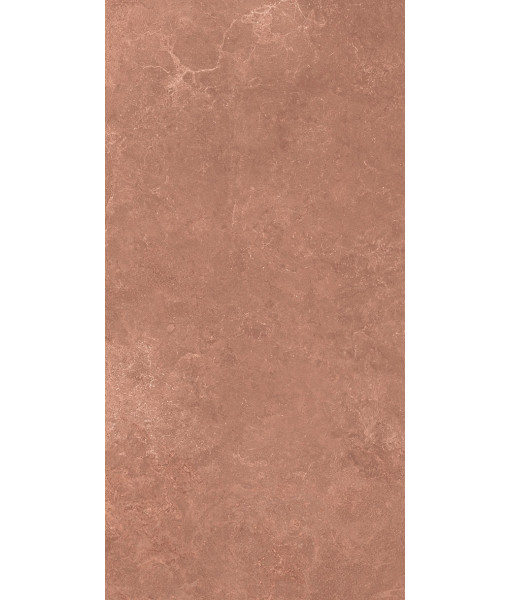 Керамогранит MIDI NATUR.TERRE NAT R60X120