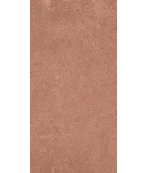 Керамогранит MIDI NATUR.TERRE NAT R60X120