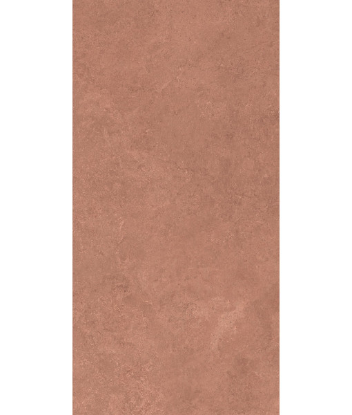 Керамогранит MIDI NATUR.TERRE NAT R60X120