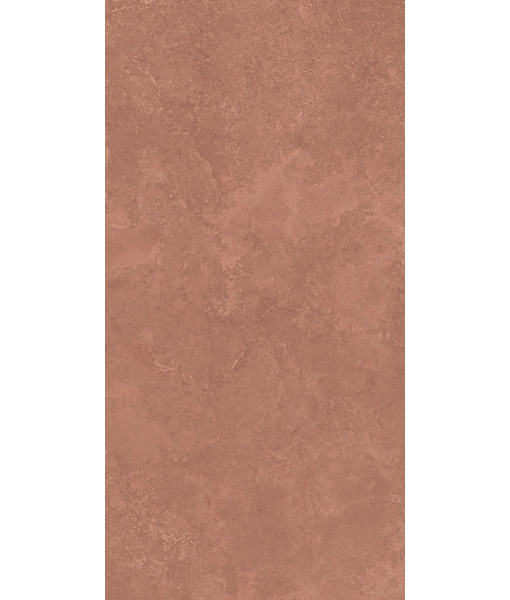 Керамогранит MIDI NATUR.TERRE NAT R60X120