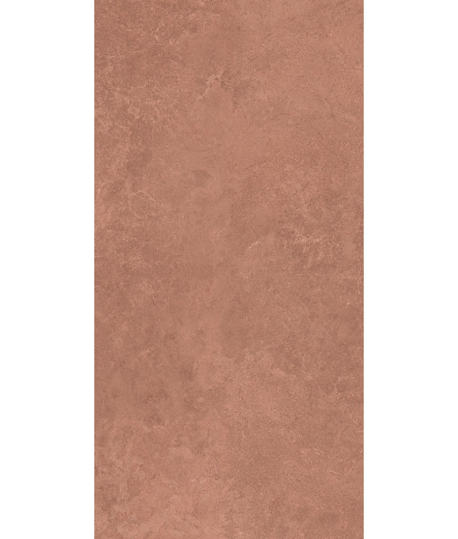 Керамогранит MIDI NATUR.TERRE NAT R60X120