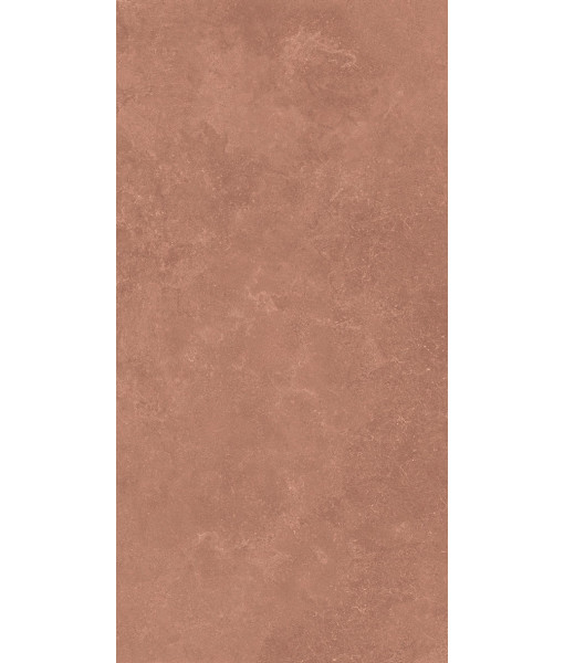Керамогранит MIDI NATUR.TERRE NAT R60X120