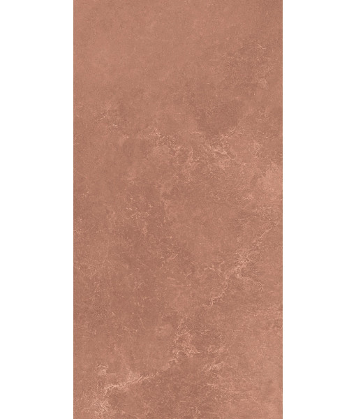 Керамогранит MIDI NATUR.TERRE NAT R60X120