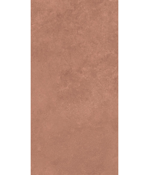 Керамогранит MIDI NATUR.TERRE NAT R60X120
