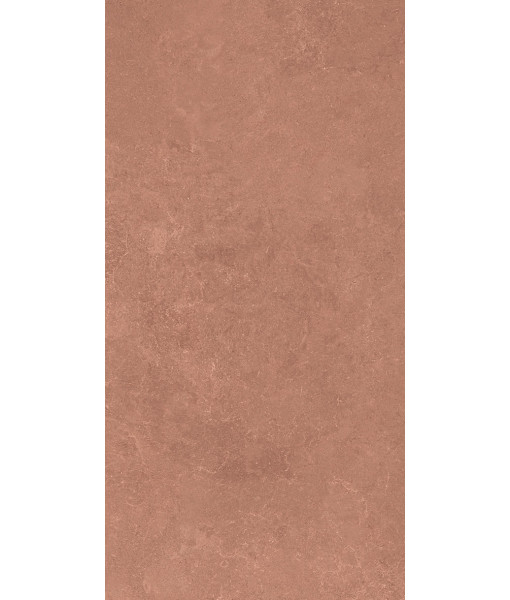 Керамогранит MIDI NATUR.TERRE NAT R60X120
