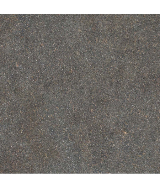 Керамогранит NATIVE FOREST LAP RET	120X120
