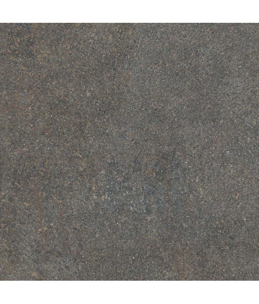 Керамогранит NATIVE FOREST LAP RET	120X120