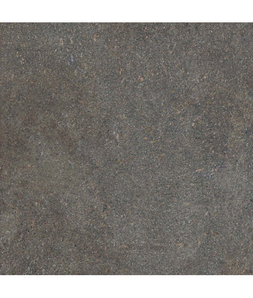 Керамогранит NATIVE FOREST LAP RET	120X120