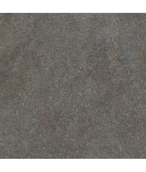 Керамогранит NATIVE FOREST LAP RET	120X120
