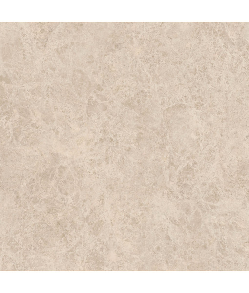 Керамический гранит  ERA DELIC. TAUPE NAT R120X120