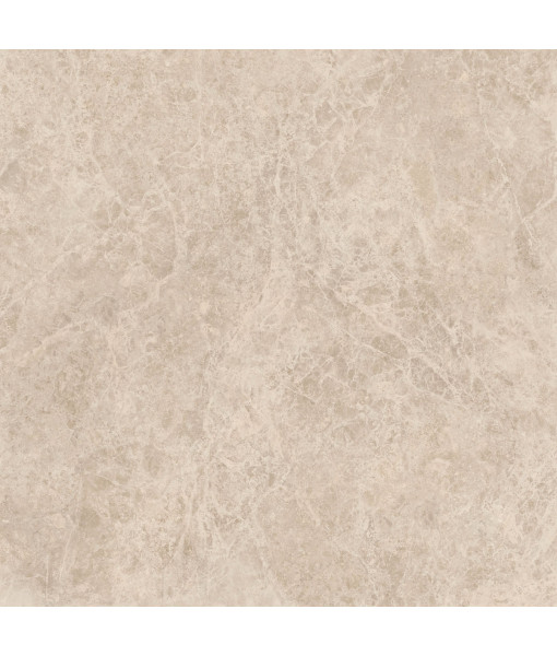 Керамический гранит  ERA DELIC. TAUPE NAT R120X120