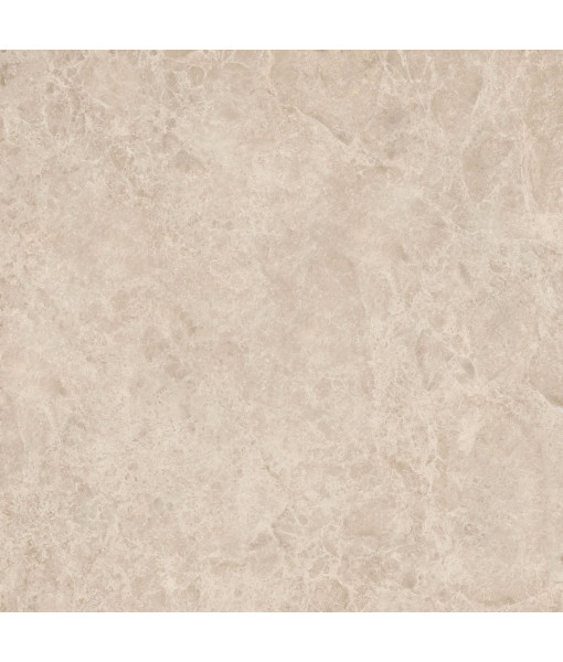 Керамический гранит  ERA DELIC. TAUPE NAT R120X120