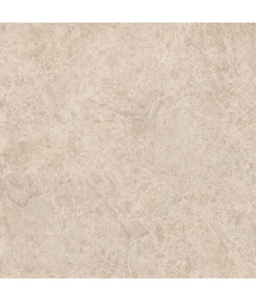 Керамический гранит  ERA DELIC. TAUPE NAT R120X120