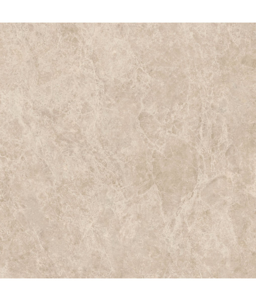 Керамический гранит  ERA DELIC. TAUPE NAT R120X120