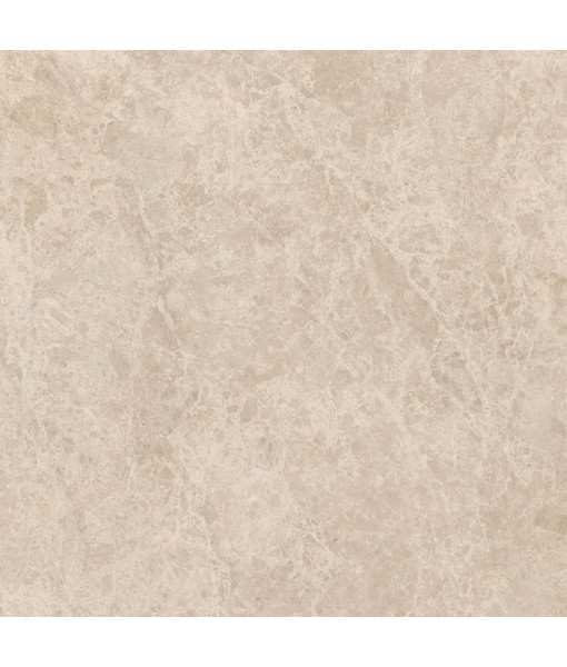 Керамический гранит  ERA DELIC. TAUPE NAT R120X120