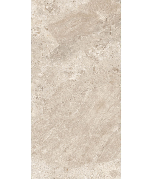 Керамогранит ERA BLOOM. BEIGE LAP R60X120