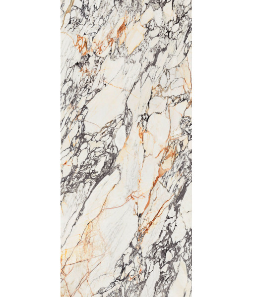 Керамогранит  SPR.TREAS.CORCHIA GOLD LUX R 120X280