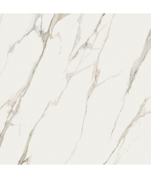 Керамогранит SNS.SIGN.CALACATTA MICHELANGELO LUX RET 120X120