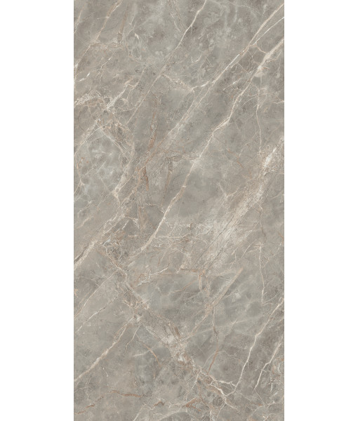 Керамогранит ETOILE GRIS GLO 6MM 120X240 RET