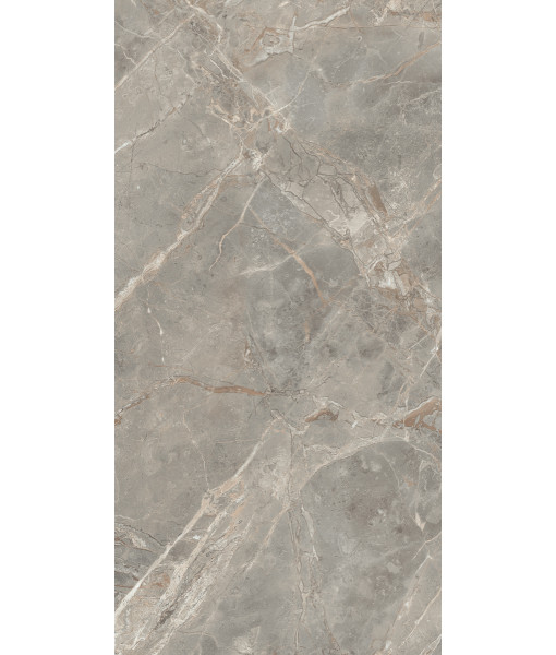 Керамогранит  ETOILE GRIS GLO 6MM 60X120 RET