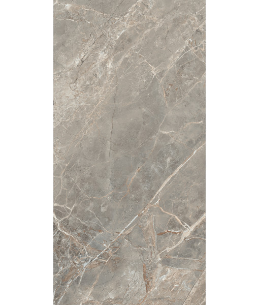 Керамогранит  ETOILE GRIS GLO 6MM 60X120 RET