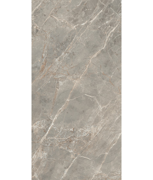 Керамогранит  ETOILE GRIS GLO 6MM 60X120 RET