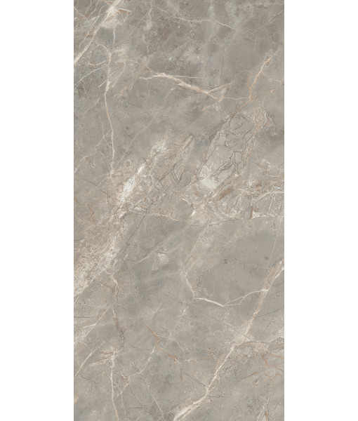 Керамогранит  ETOILE GRIS GLO 6MM 60X120 RET